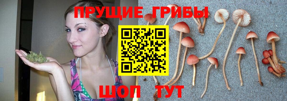 Галлюциногенные грибы MAGIC MUSHROOMS  магазин    Омск  Галлюциногенные грибы Psilocybe  Вход с VPN 