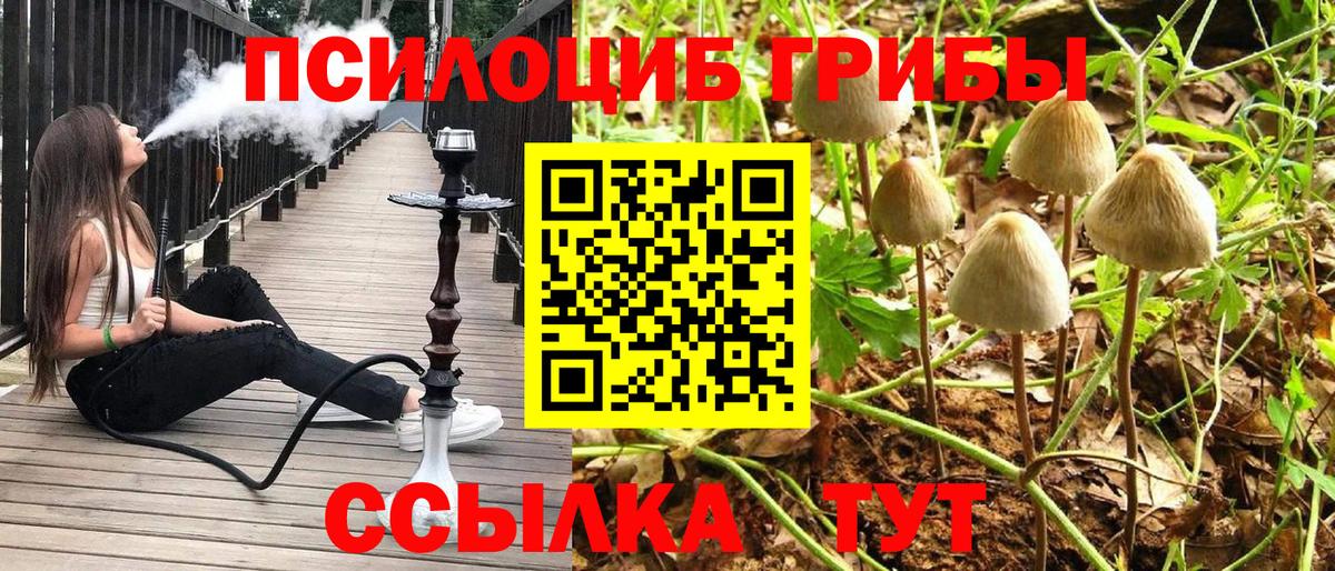 Галлюциногенные грибы GOLDEN TEACHER Омск